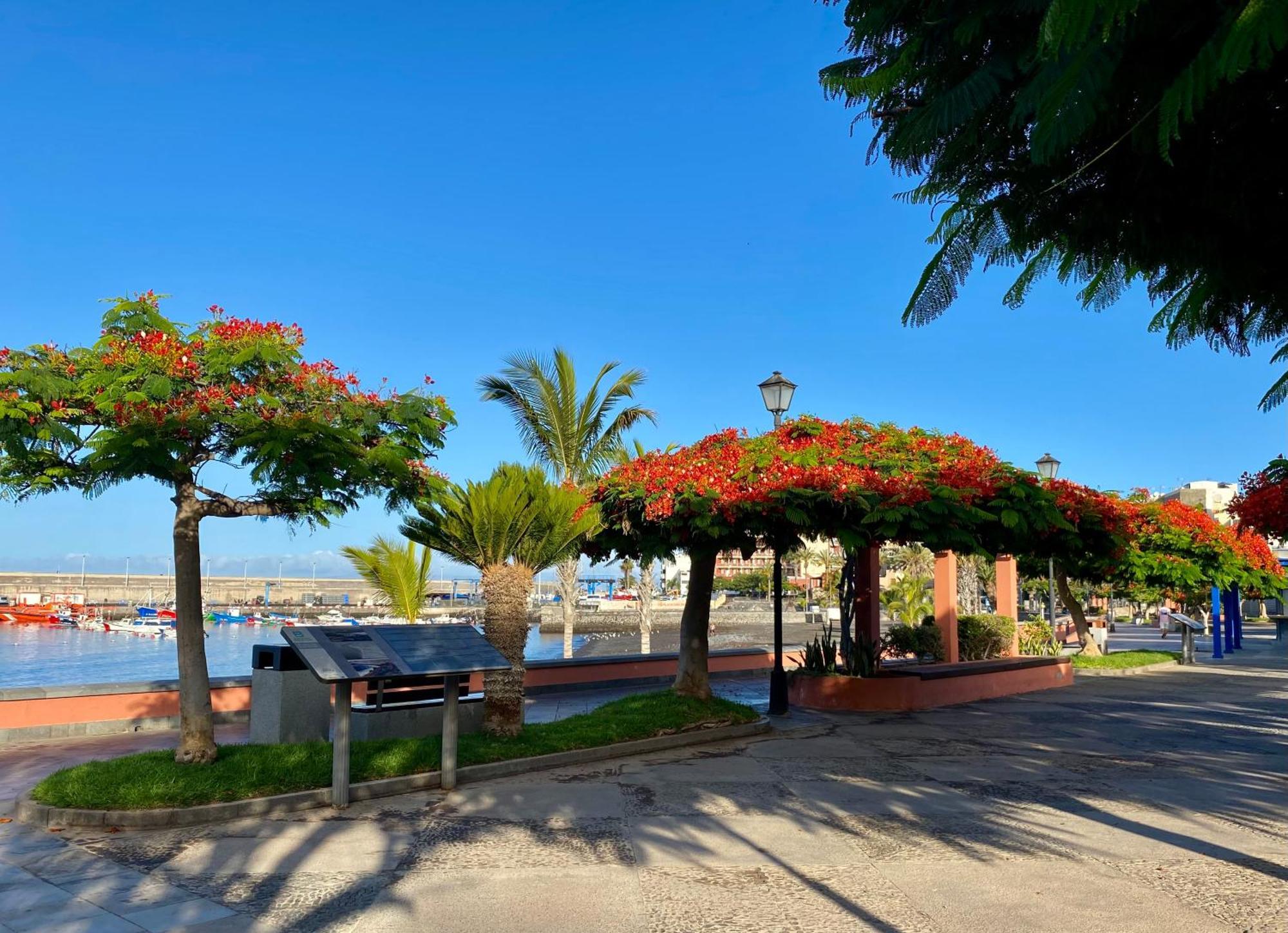 Casa Antonio - Apartamento Orion Playa de San Juan  Exterior foto